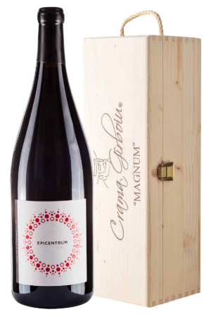 Vinoteca Epicentrum Merlot & Cabernet Sauvignon 2009 - Vin rosu sec (Magnum)
