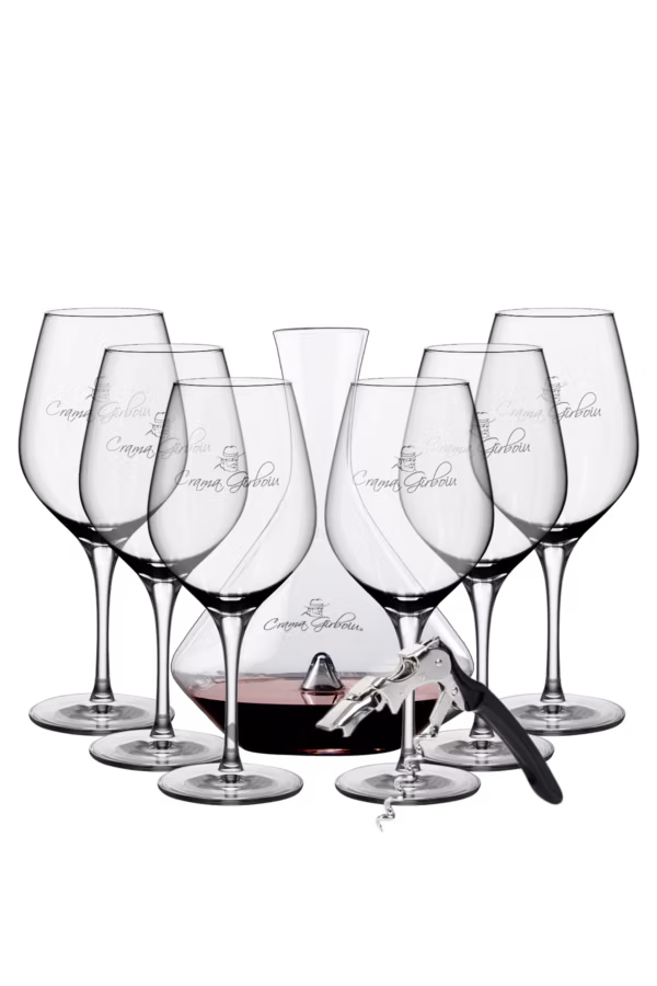 Set Accesorii Vin Premium