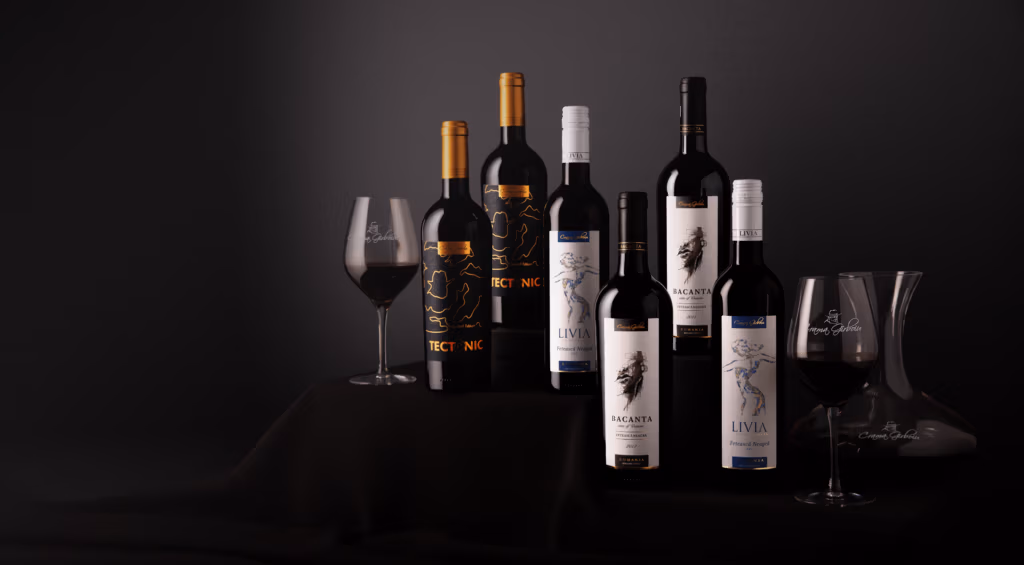 Tipuri de vinuri: clasificare și de ce Feteasca Neagră se numără printre cele mai apreciate