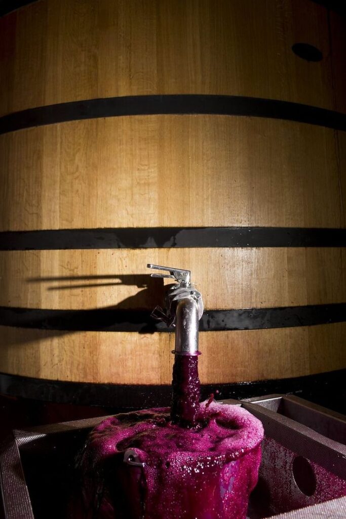 durerea de cap după vin