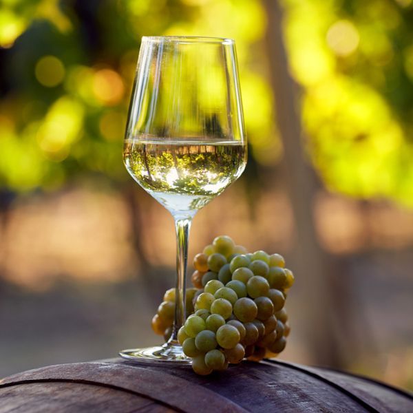 aroma chardonnay
