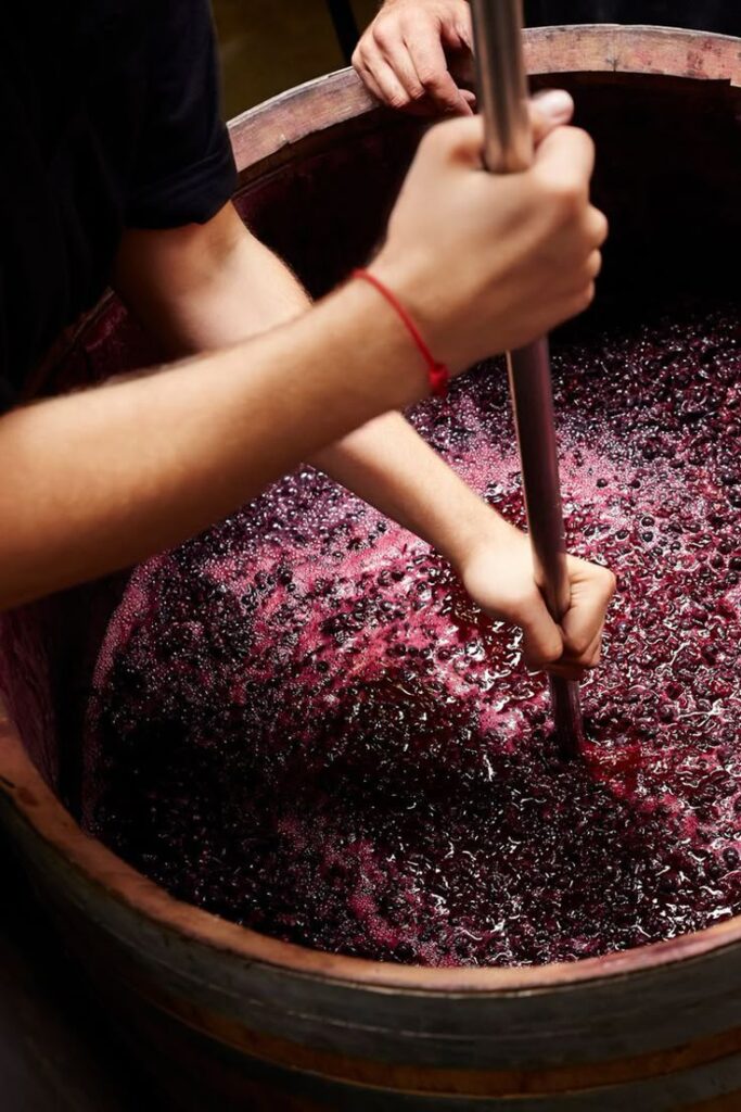 vin rosé metoda saignee