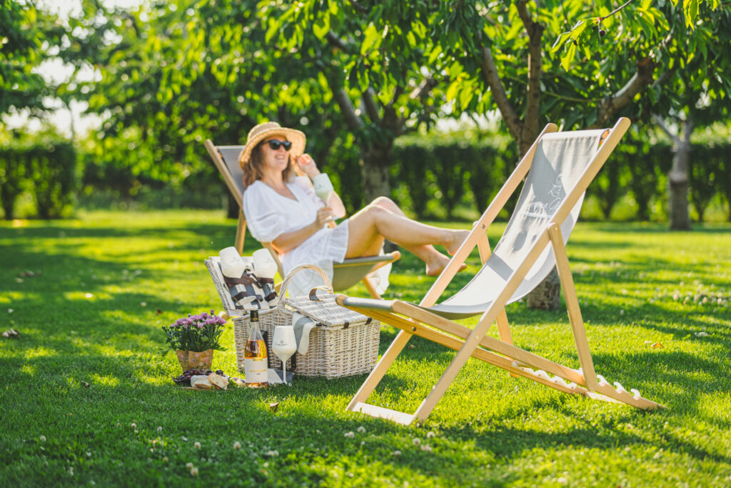 ghid picnic reușit