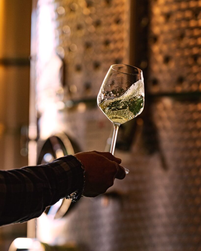 chardonnay lumea veche