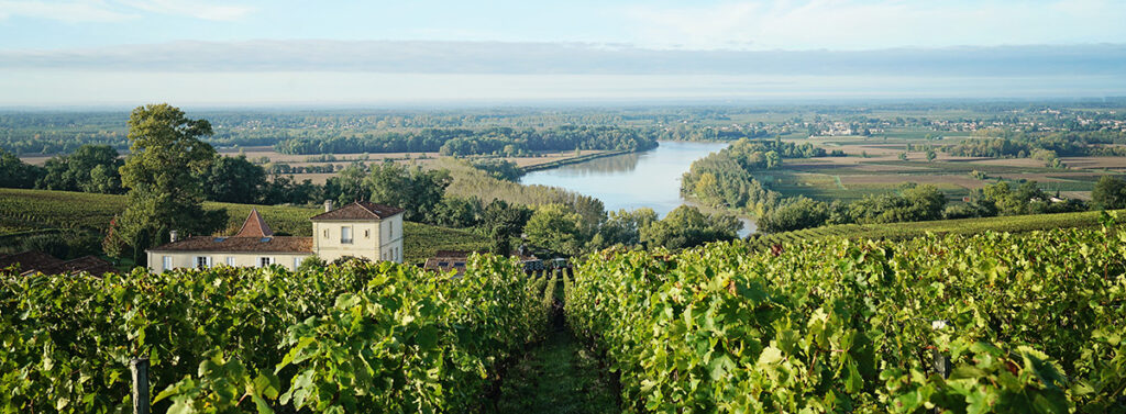 DOC BORDEAUX WINE