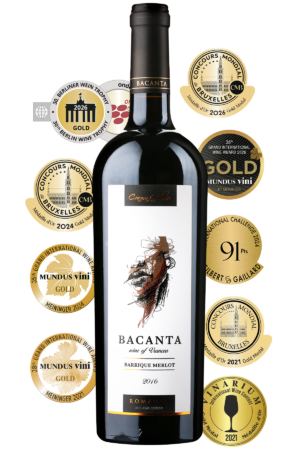 Vinoteca Bacanta Merlot Barrique 2016 - Vin rosu sec