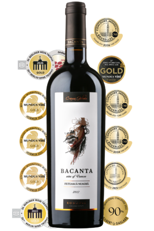 Vinoteca Bacanta Fetească Neagră 2017 - Vin roșu sec