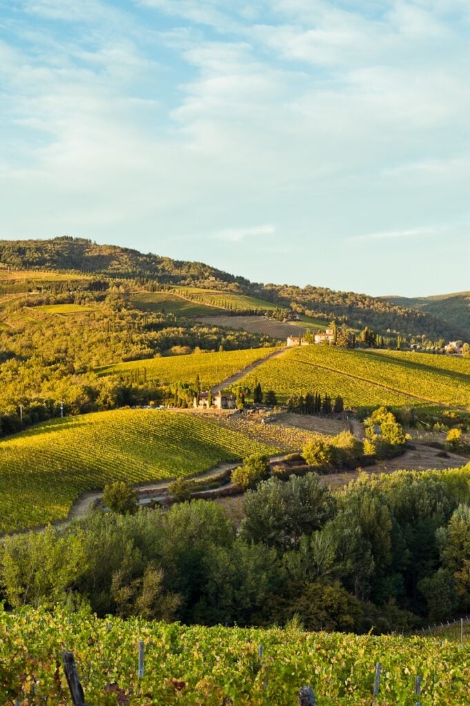 regiunea Toscană in Italia cunoscuta pentru vinurile realizate din Cabernet Sauvignon