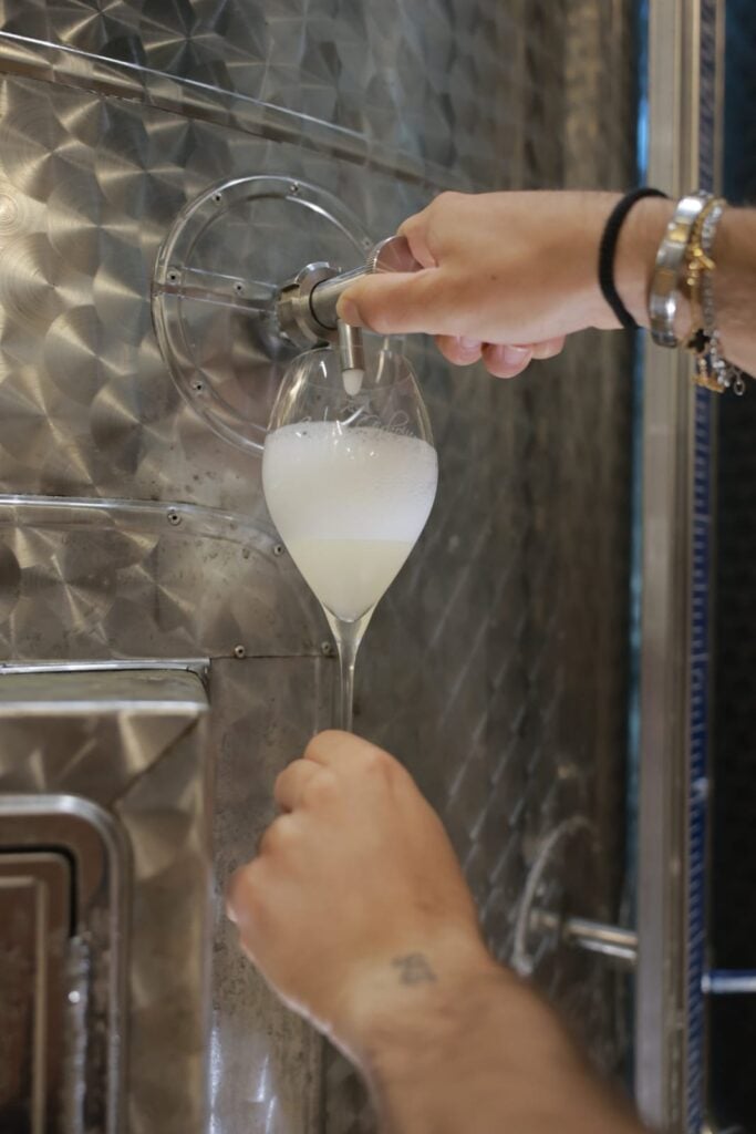 metoda charmat de producere a vinurilor spumante proaspete si fructate
