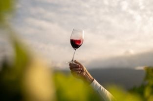 cabernet sauvignon