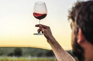 vinuri Bordeaux