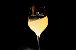 vin pentru începători